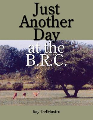 Just Another Day at the B.R.C. By Ray Delmastro Cover Image
