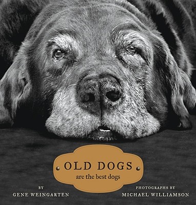 Old Dogs: Are the Best Dogs Cover Image