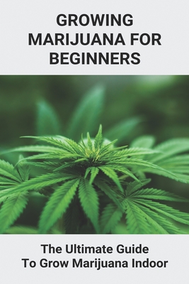 Beginners Guide to Growing Marijuana