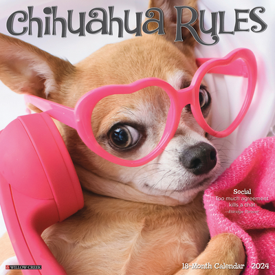 Chihuahua Rules 2024 12 X 12 Wall Calendar Cover Image
