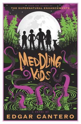 Meddling Kids: A Novel Cover Image