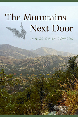 The Mountains Next Door By Janice Emily Bowers Cover Image