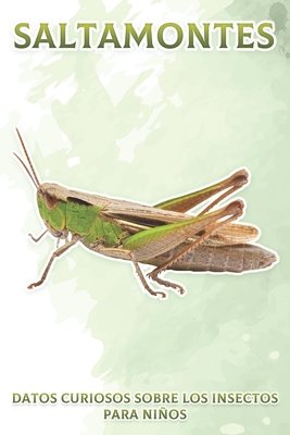 Saltamontes: Datos curiosos sobre los insectos para niños #1