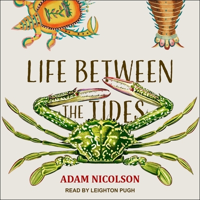 Life Between the Tides By Adam Nicolson, Leighton Pugh (Read by) Cover Image