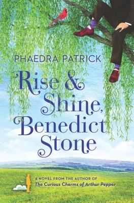 Cover Image for Rise and Shine, Benedict Stone: A Novel