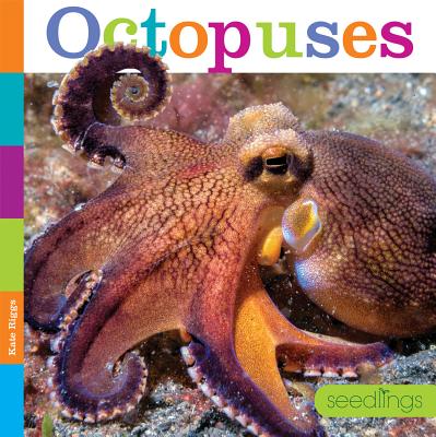 Seedlings: Octopuses Cover Image