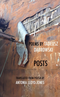 Cover for Posts (New Polish Writing)