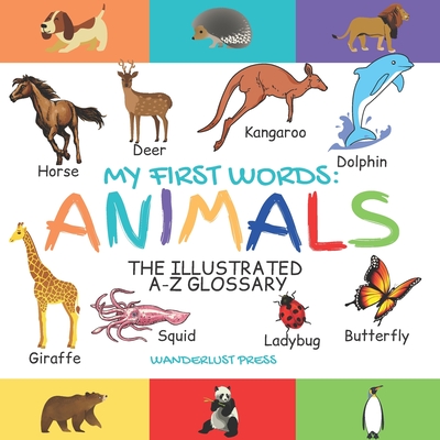 My First Words: Animals: The Illustrated A-Z Glossary Of The Animal Kingdom  For Preschoolers (Large Print / Paperback) | Children's Book World