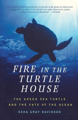 Cover for Fire In The Turtle House
