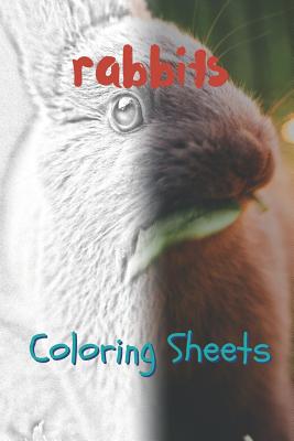 Rabbit Coloring Sheets: 30 Rabbit Drawings, Coloring Sheets Adults Relaxation, Coloring Book for Kids, for Girls, Volume 13 By Julian Smith Cover Image