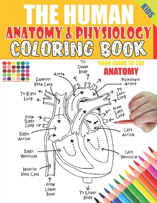 The Human Anatomy and Physiology Coloring Book: 50+ illustrations in an Activity coloring book for kids and teens, Great christmas, thanksgiving, birt Cover Image