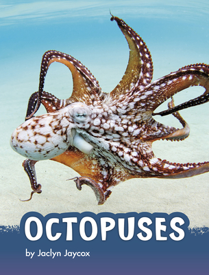 Octopuses (Animals) By Jaclyn Jaycox Cover Image