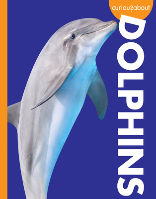 Curious about Dolphins (Curious about Wild Animals) By Annie C. Holdren Cover Image