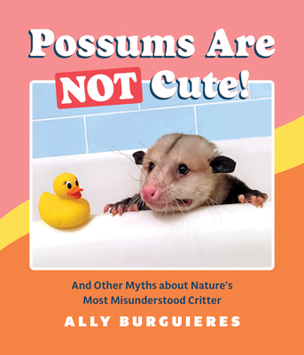 Cover for Possums Are Not Cute!