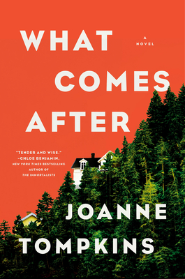 Cover Image for What Comes After: A Novel