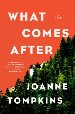 What Comes After: A Novel Cover Image