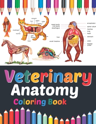 Veterinary Anatomy Coloring Book: Veterinary Anatomy Coloring & Activity  Book for  Entertaining And Instructive Guide To Veterinary Anatomy.  Ve (Paperback) | Gramercy Books