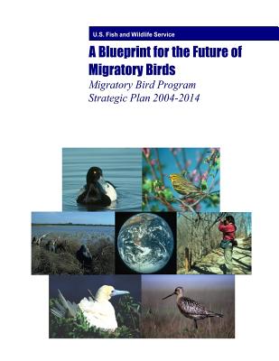 A Blueprint for the Future of Migratory Birds: Migratory Bird Program  Strategic Plan 2004-2014 (Paperback) | Sandbar Books