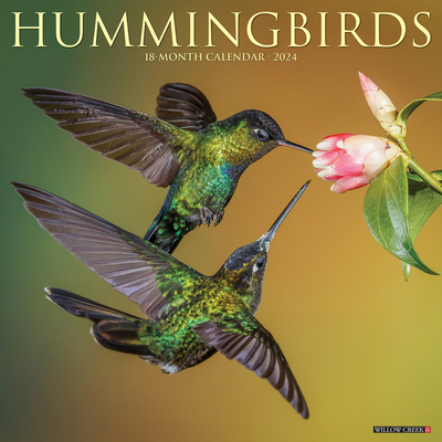 Hummingbirds 2024 12 X 12 Wall Calendar Cover Image