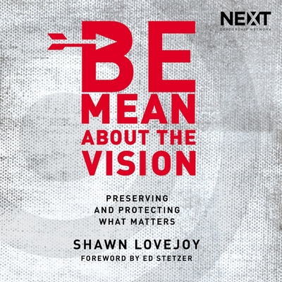 Be Mean about the Vision: Preserving and Protecting What Matters (MP3 CD)