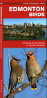 Edmonton Birds: A Folding Pocket Guide to Familiar Species By James Kavanagh, Raymond Leung (Illustrator) Cover Image