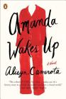 Amanda Wakes Up: A Novel Cover Image