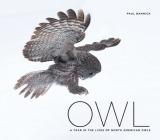 Owl: A Year in the Lives of North American Owls By Paul Bannick Cover Image