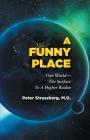 A Funny Place: Our World-The Surface to a Higher Realm By Peter Strassberg, Richard Donatone (Illustrator) Cover Image