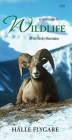 A Field Guide to Wildlife of the Rocky Mountains By Hï¿½lle Flygare Cover Image