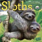 Sloths Wall Calendar 2017 Cover Image