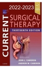 Surgical Therapy By Devica Lalencia Cover Image
