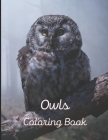 Owl Coloring Book: A painting fun for children and adults. Book Cover 3 By Simon Kury Cover Image