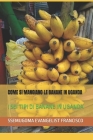 Come Si Mangiano Le Banane in Uganda: I SEI Tipi Di Banane in Uganda By Ssemugoma Evangelist Francisco Cover Image