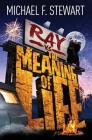 Ray Vs the Meaning of Life Cover Image