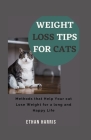 Weight Loss Tips for Cats: Methods to Help Your cat Lose Weight for a long and Happy Life Cover Image