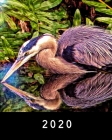 2020: Great Blue Heron Lovers Calendar with Daily Weekly Monthly Yearly Pages and List of Holidays Cover Image