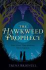 The Hawkweed Prophecy (The Hawkweed Series #1) Cover Image