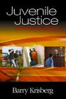 Juvenile Justice: Redeeming Our Children By Barry A. Krisberg Cover Image