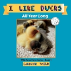 I Like Ducks: All Year Long By Carolyn Wild Cover Image