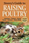 Storey's Guide to Raising Poultry, 4th Edition: Chickens, Turkeys, Ducks, Geese, Guineas, Game Birds (Storey’s Guide to Raising) Cover Image