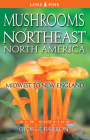 Mushrooms of Northeast North America Cover Image