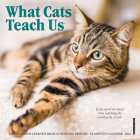 What Cats Teach Us 2024 7 X 7 Mini Wall Calendar By Willow Creek Press Cover Image