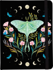 Luna Moth Journal By Lea Yunk (Illustrator) Cover Image