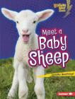 Meet a Baby Sheep By Jennifer Boothroyd Cover Image