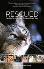 Rescued: The Stories of 12 Cats, Through Their Eyes Cover Image