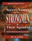 Secret Names of the Strongmen: and their Agendas, Information & Prayer Guide By H. a. Lewis Cover Image