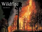Wildfire Cover Image