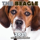 The Beagle 2021 Mini Wall Calendar Cover Image