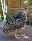 Brian The Therapy Quail Cover Image