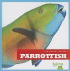 Parrotfish (Life Under the Sea) By Cari Meister Cover Image